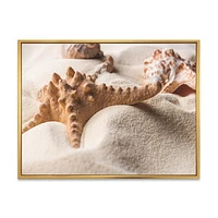 Close Up of Starfish and Seashell on Light Sand Canvas Wall Art Print