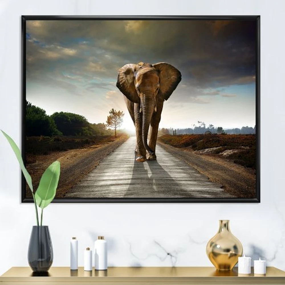 Single Walking Elephant  Canvas Art Print