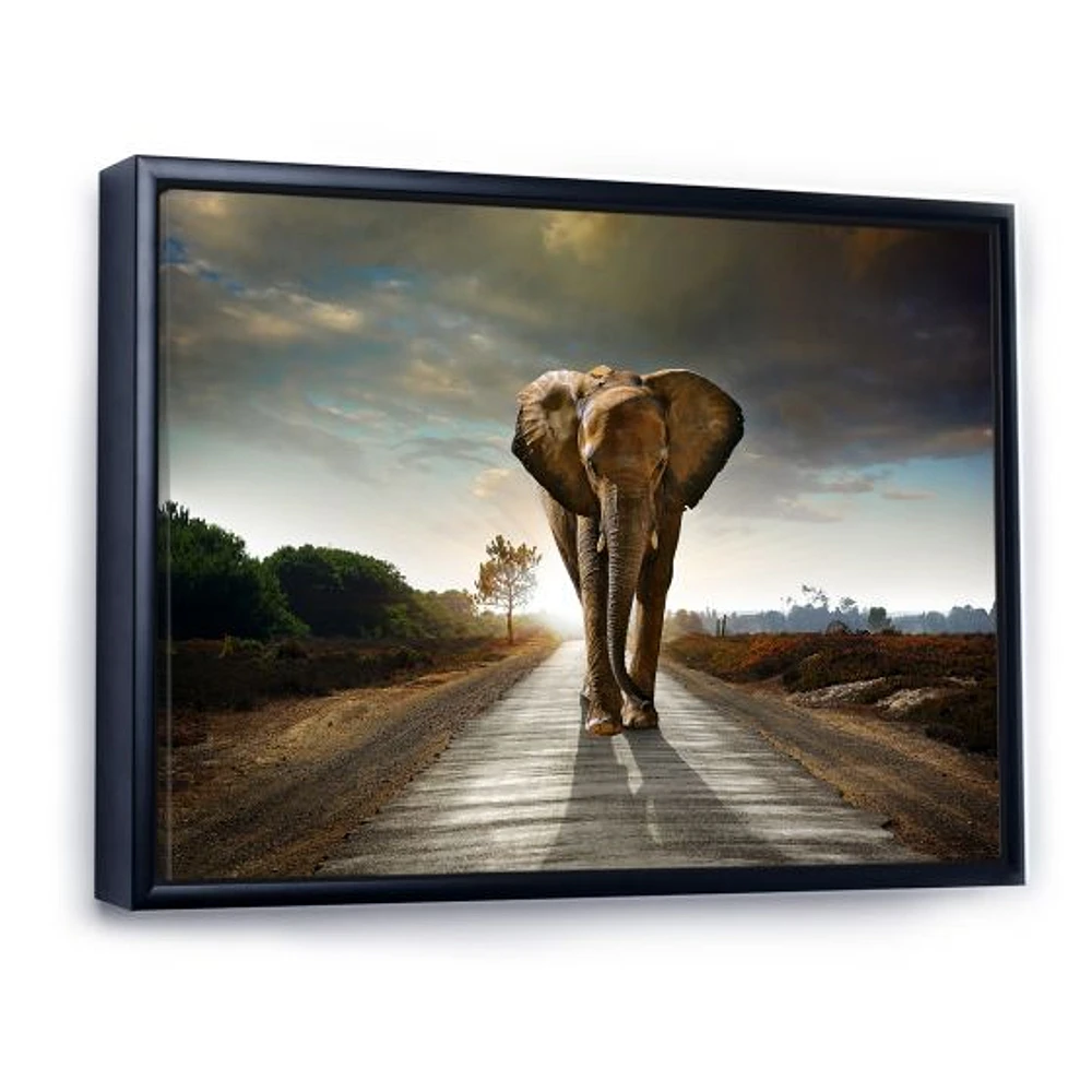 Single Walking Elephant  Canvas Art Print