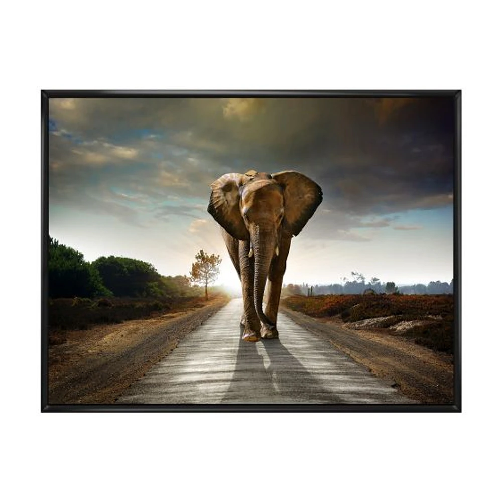 Single Walking Elephant  Canvas Art Print