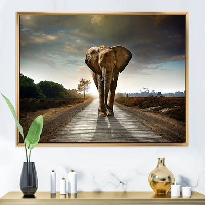 Single Walking Elephant  Canvas Art Print