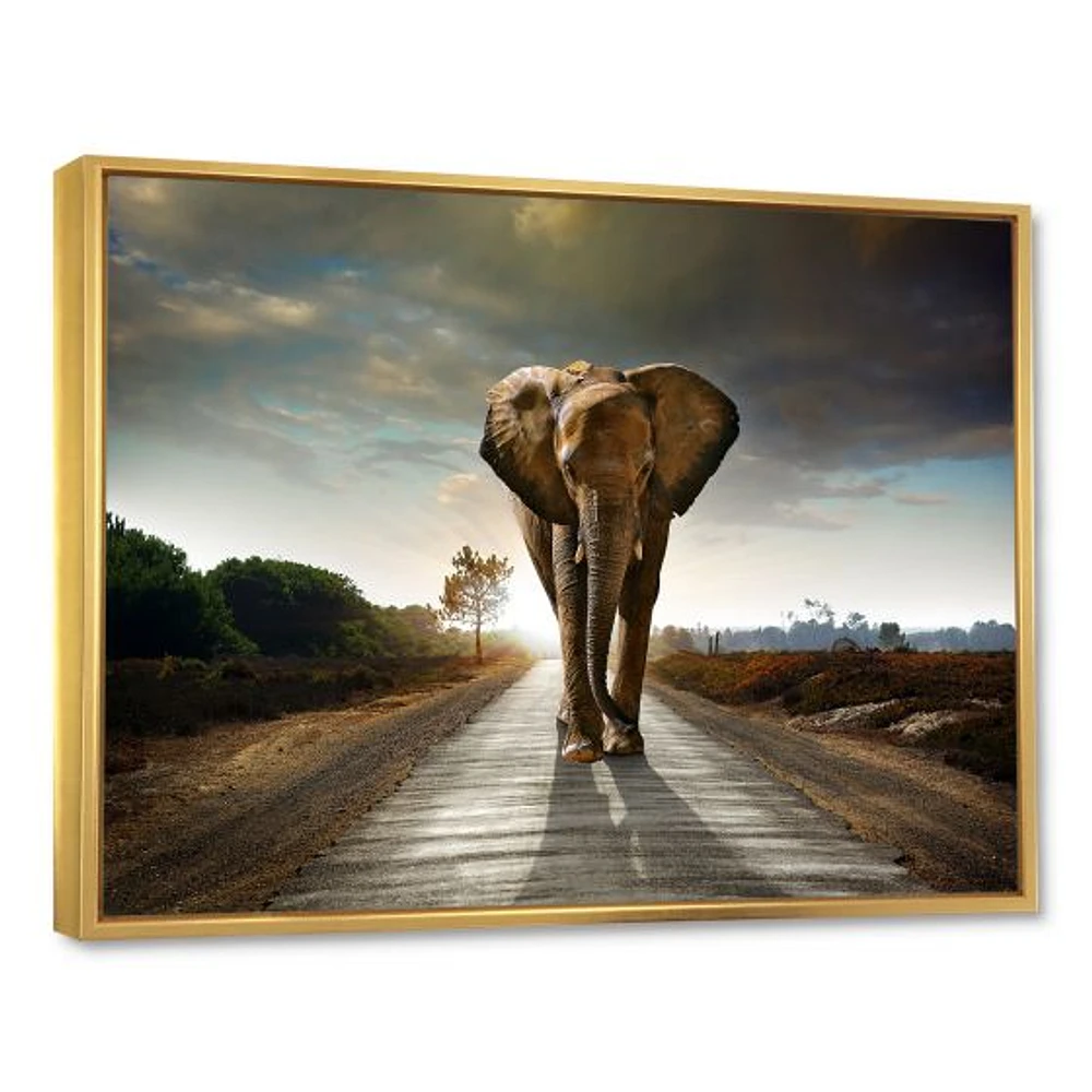 Single Walking Elephant  Canvas Art Print