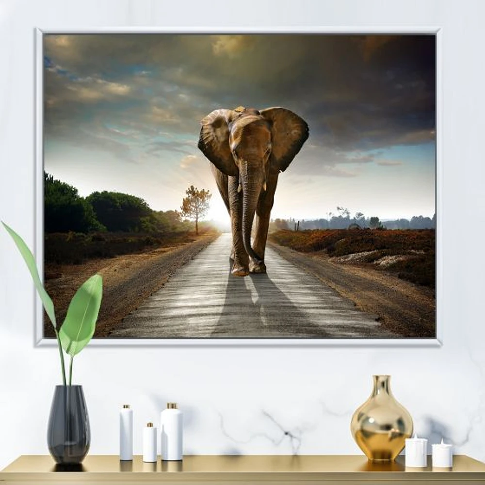 Single Walking Elephant  Canvas Art Print