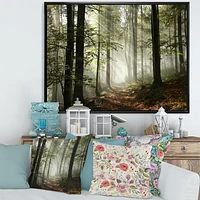 Toile imprimée « Light Dense Fall Forest with Fog »
