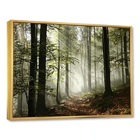 Toile imprimée « Light Dense Fall Forest with Fog »