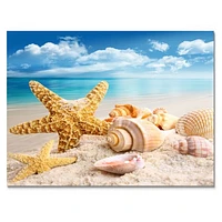 Starfish and Seashells on Beach Canvas Wall Art Print