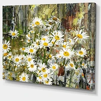 Daisies Flowers Under the Window  Wall Art