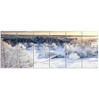 Beautiful Winter Panorama  Wall Art