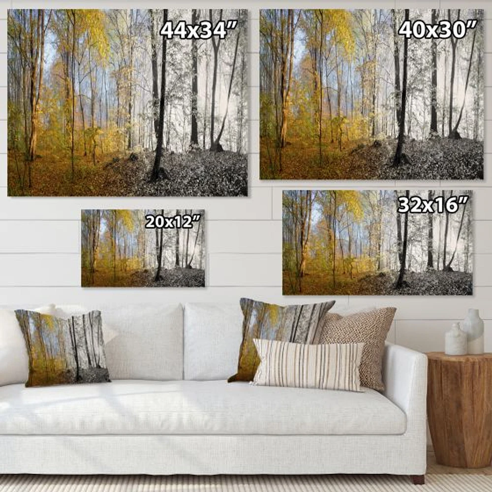 Morning Forest Panorama Canvas Art Print
