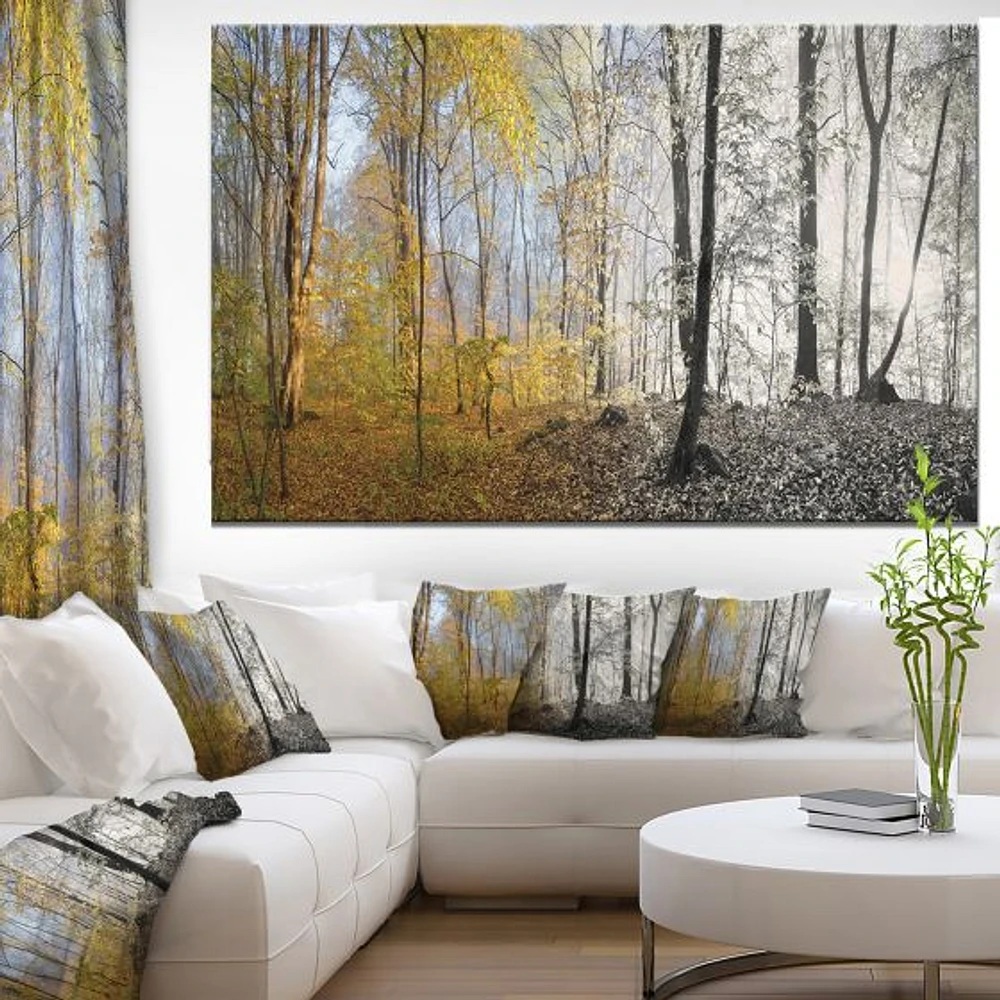 Morning Forest Panorama Canvas Art Print