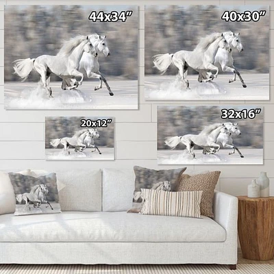 Two White Horse  Wall Art Canvas