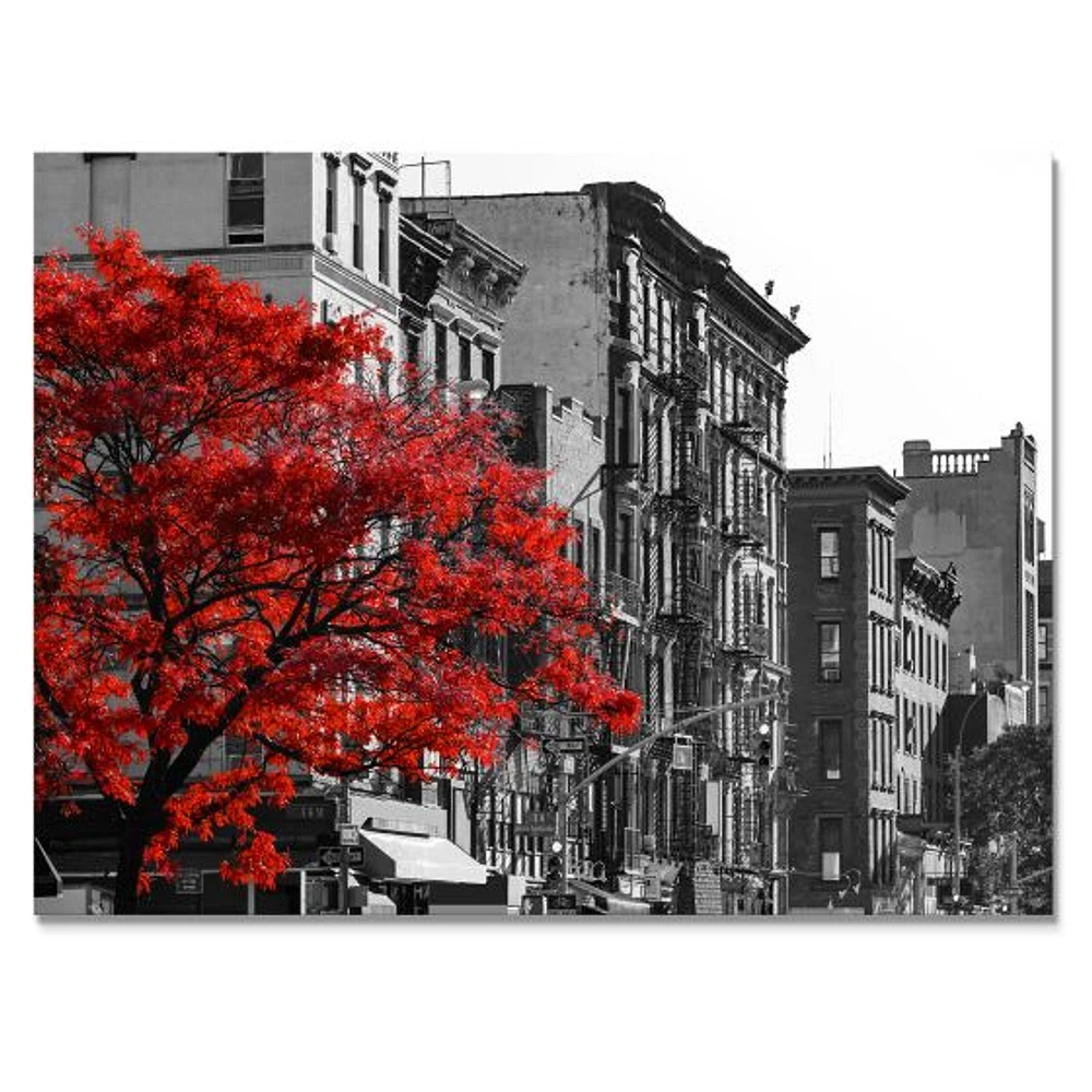 Red Tree on Black and White New York City Street  Canvas