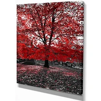 Red Tree Central Park  Wall Art