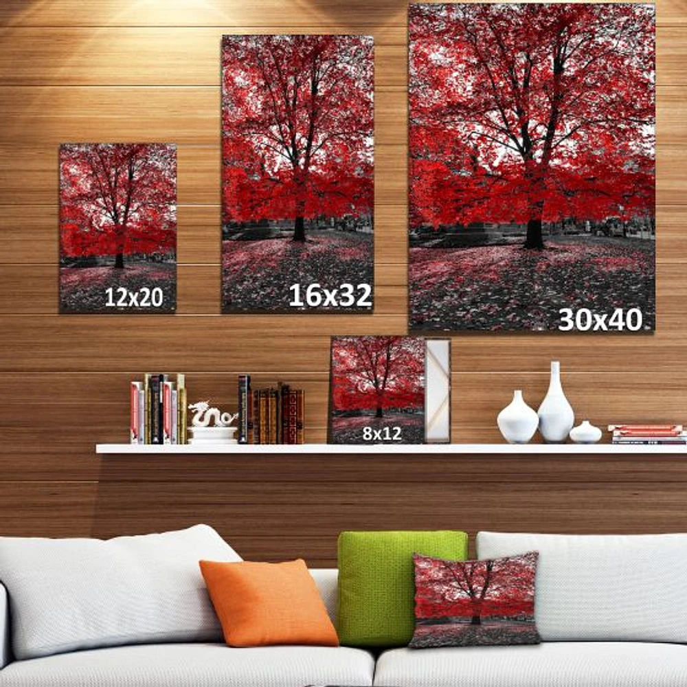 Red Tree Central Park  Wall Art