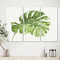 Mixed Botanical Green Leaves V  Canvas Art