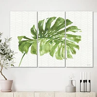 Mixed Botanical Green Leaves V  Canvas Art