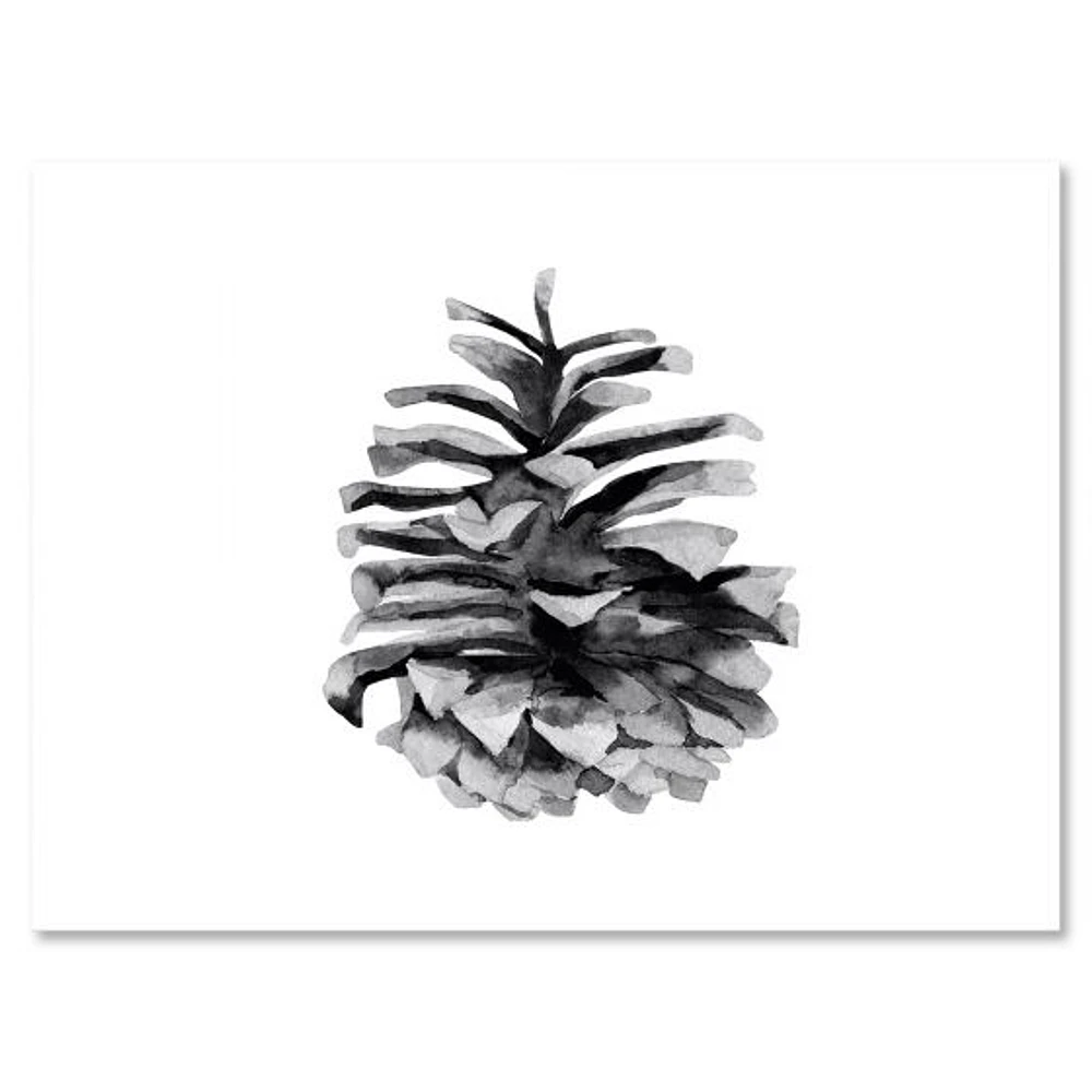 Conifer Cone Monochrome Wall Art