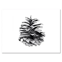 Conifer Cone Monochrome Wall Art