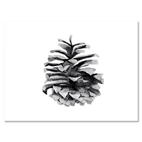 Conifer Cone Monochrome Wall Art
