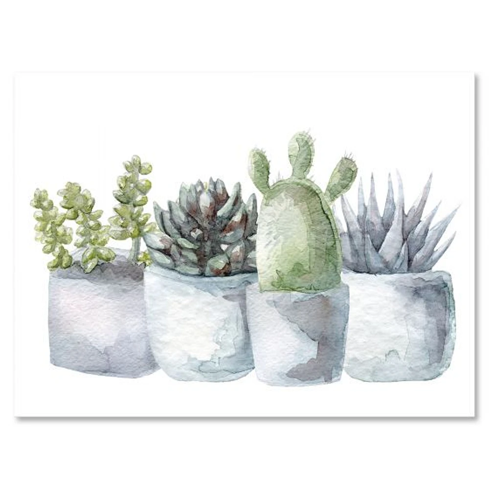 Cactus and Succulent House Plants I  Wall Art