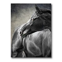Portrait of A Black Horse  Canvas Wall Art Print