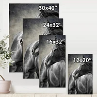 Portrait of A Black Horse  Canvas Wall Art Print