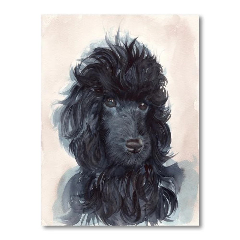 Portrait of The Black Poodle Puppy with Curly Coat  Canvas Wall Art Print