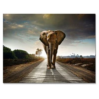 Single Walking Elephant  Canvas Art Print