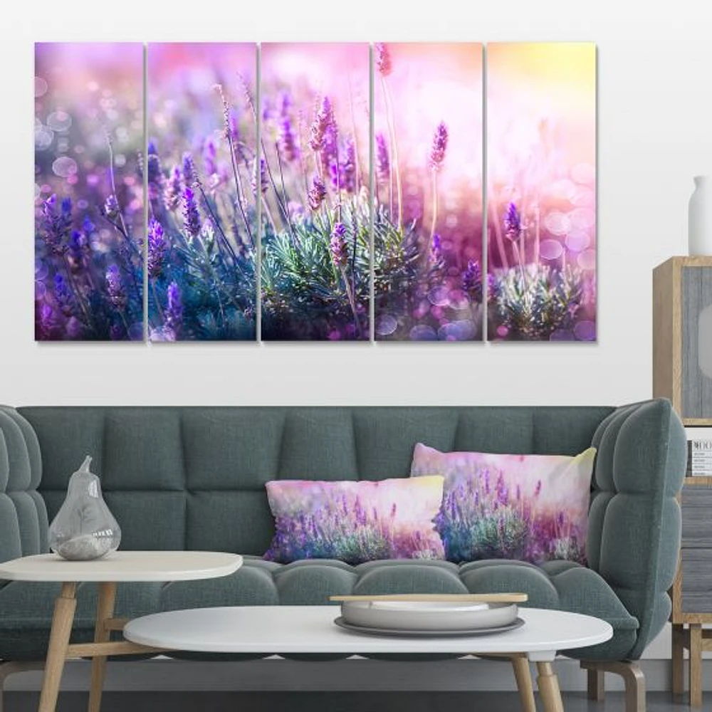 Growing and Blooming Lavender Canvas Print