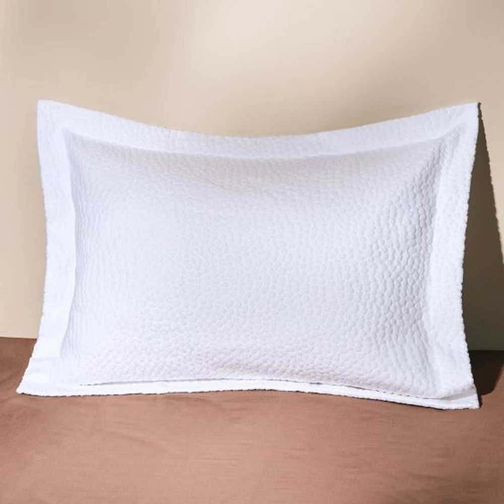 Safari Sham
