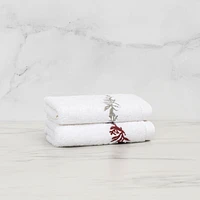 Florence Washcloth - Brick