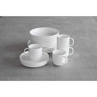 FBC Modern Coupe 16pc Dinnerware Set, Boxed