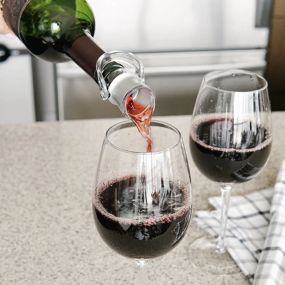 Trudeau Origin Bottle Pourer and Stopper