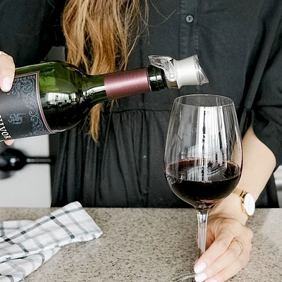 Trudeau Origin Bottle Pourer and Stopper