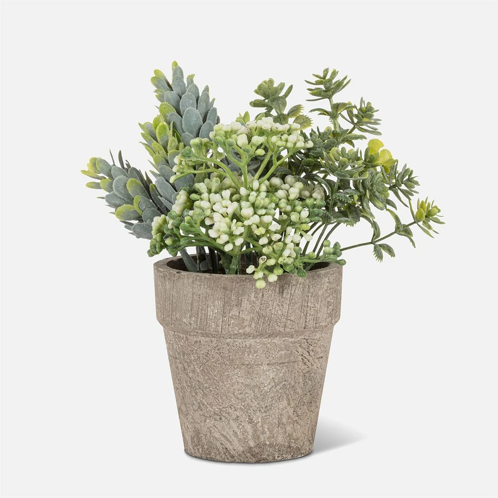 Small Mixed Greenery with White Buds in 6" Pot