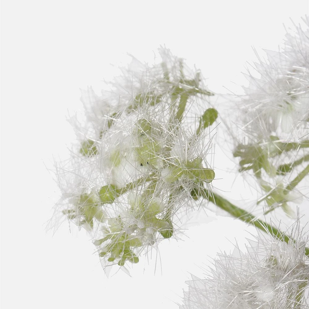 Queen Anne's Lace Spray 27