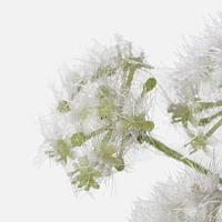 Queen Anne's Lace Spray 27