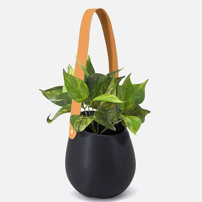 Muro Hanging Wall Plantter - Black