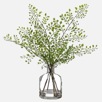 Maidenhair Fern in Glass Vase - 13"