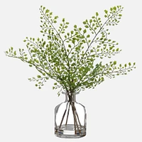 Maidenhair Fern in Glass Vase - 13"