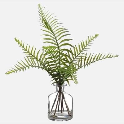 Sword Fern in Glass Vase, 14"