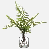 Sword Fern in Glass Vase, 14"