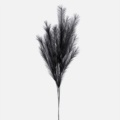 Desert Feather Pampas by Torre & Tagus