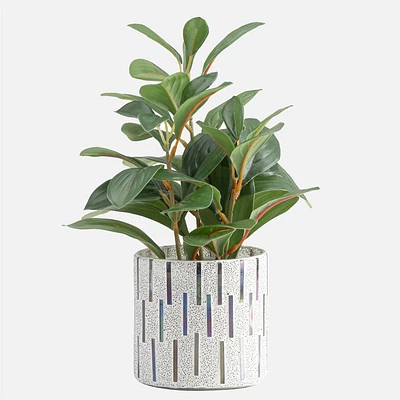 Santorini Glass Planter by Torre & Tagus
