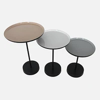 Set of 3 Stepping Stone Accent Tables