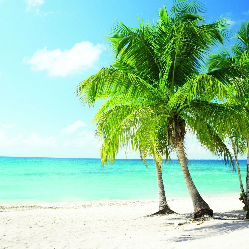 Papier peint mural « Beach the Caribbean »