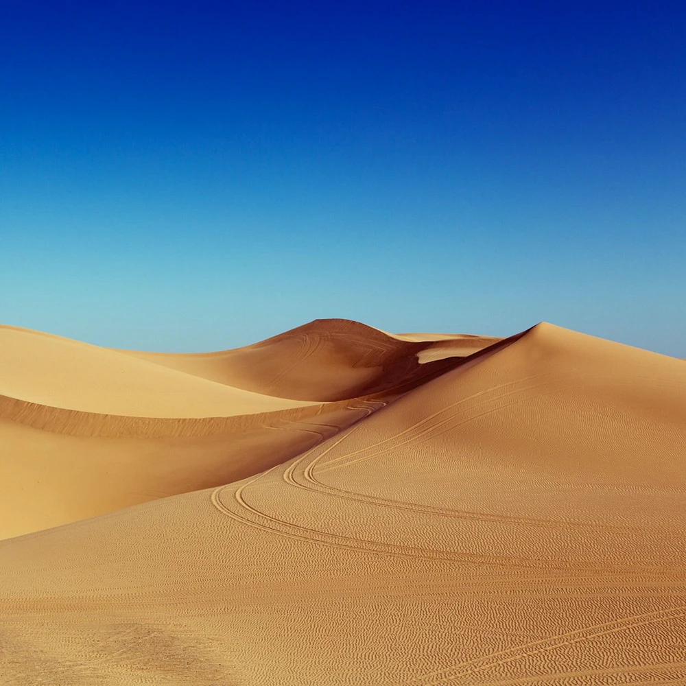 Papier peint mural « Desert Under Blue Sky »
