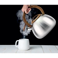 JS Gourmet Whistling Stovetop Kettle Stainless Steel Soft Touch Handle, 2.5L