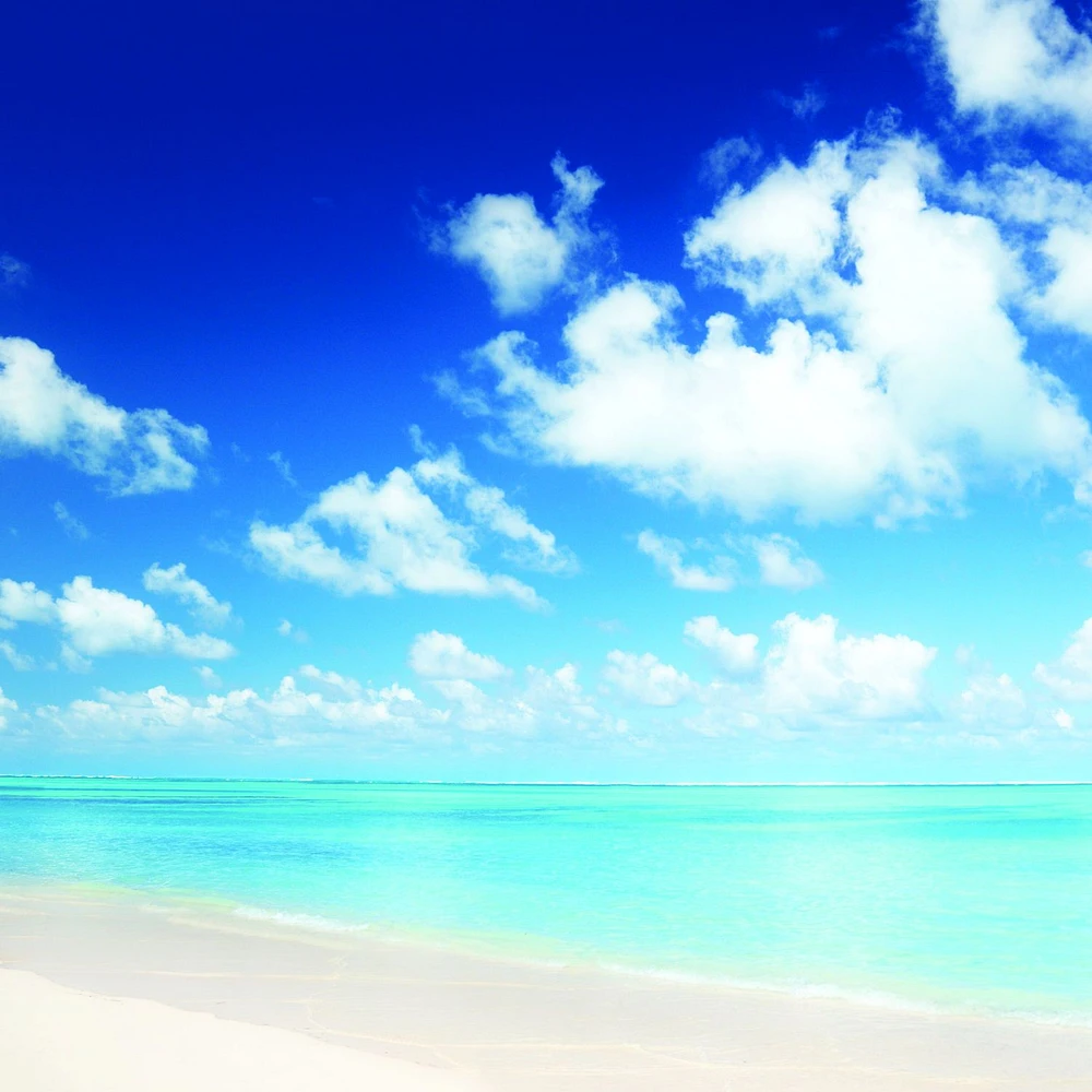 Papier peint mural « Perfect Beach »