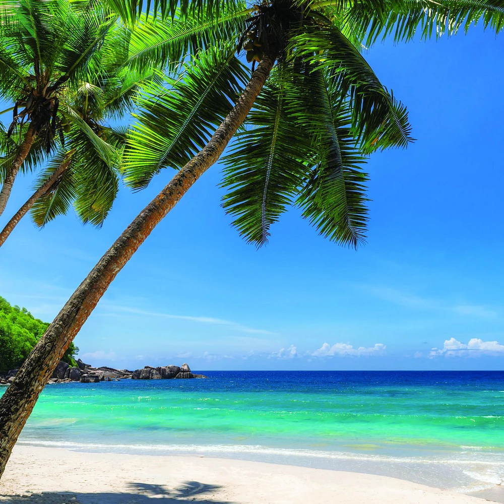 Papier peint mural « Tropical Paradise at Maldives »
